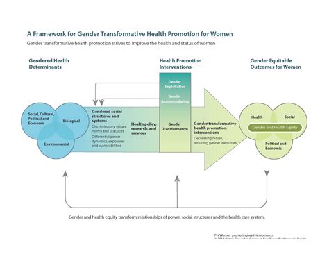 framework for gender transformative health promotion centre of excellence for women s health