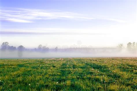 Sunrise In Morning Foggy Field Outdoors Stock Photo Image Of Land