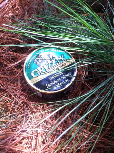 Grizzly Wintergreen Pouches Grizzly Dip Grizzly Chew Grizzly