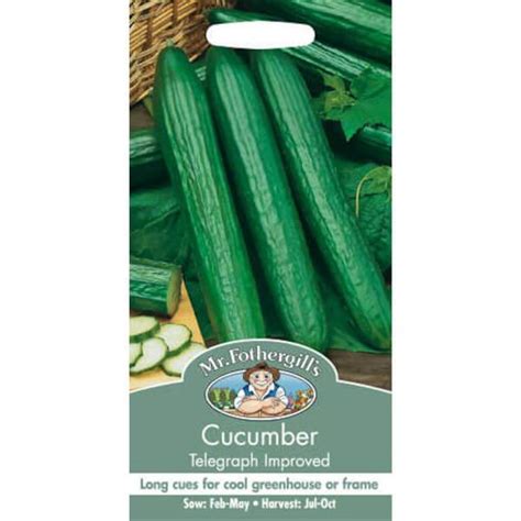Mr Fothergills Cucumber Telegraph Improved Seeds Homebase