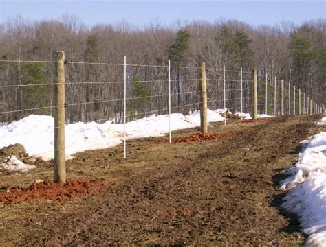 Inside the kit is a strong goat fencing of the desired length, sturdy poles attaching themselves to the fence. Goat fence electric | Farm fence, High tensile fence, Livestock fence