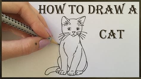 Draw a circle for the face and two triangles for the ear as guides. Cat Drawing - How to Draw a Cat - YouTube
