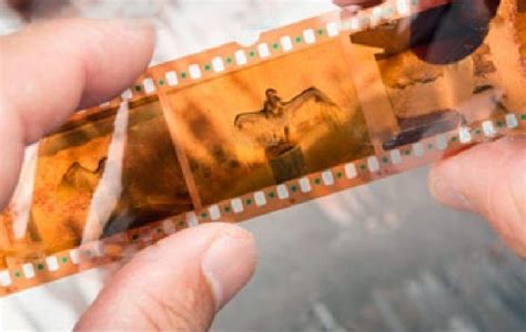 Sale Old Film Negatives In Stock