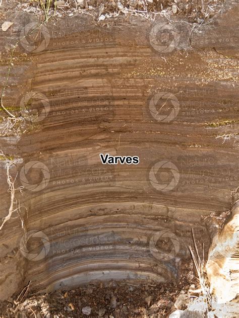 Lacustrine Deposit Cross Section Soil Cross Section Types Of Soil