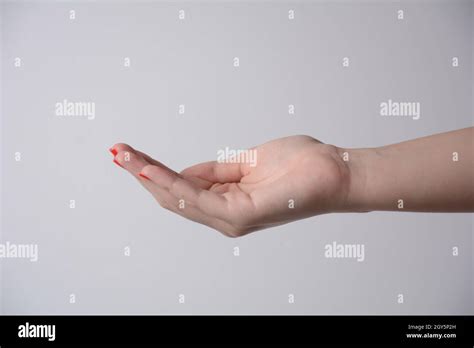 Open Palm Hand Gesture Of Female Hand Isolated On White Background