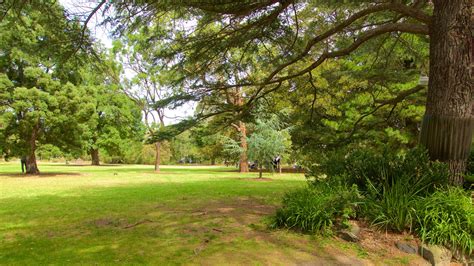 St Kilda Botanical Gardens St Kilda Vacation Rentals House Rentals