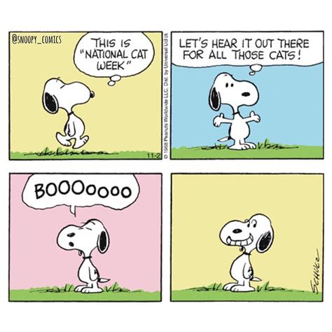 For All The Cat Haters Out There Snoopy Comics Cartoon