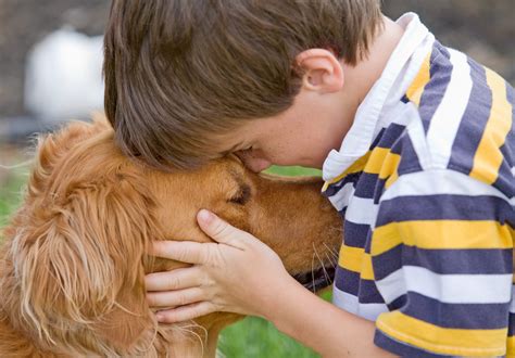 craigslist tampa bay community pets - Arlinda Vinson