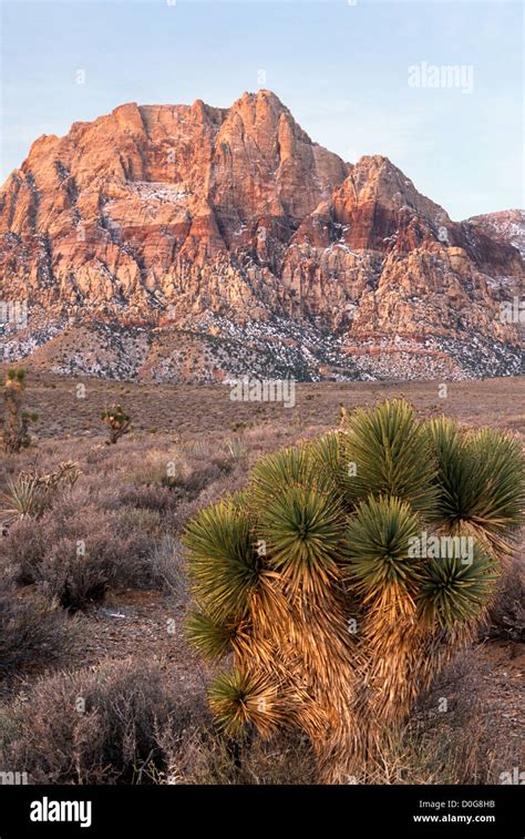 Spring Mountains Nevada Stock Photo Royalty Free Image 51989095 Alamy