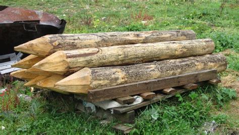 Wooden Piles Stock Image Image Of Build Spile Stilt 45636789