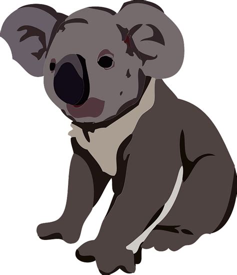 Koala Clipart Free Download Transparent Png Creazilla
