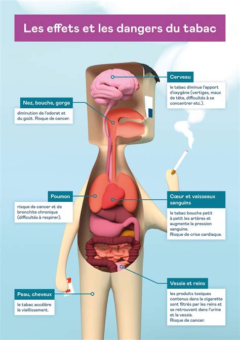 Les effets et les dangers du tabac Pass Santé Jeunes
