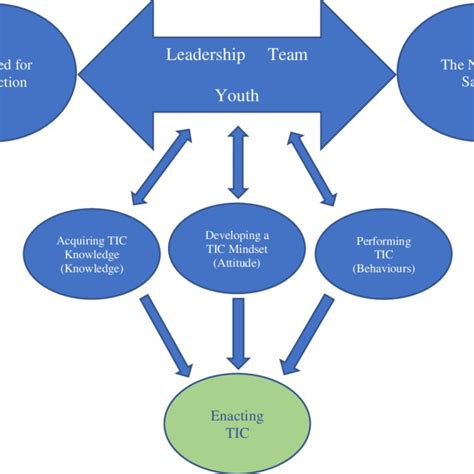 1 Visual Representation Of The Themes For Enacting Tic Download