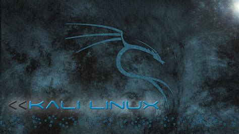 Kali Linux Windows Wallpapers Top Free Kali Linux Windows Backgrounds