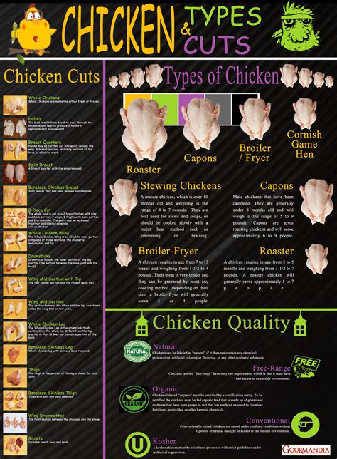 Chicken Types And Cuts Visually