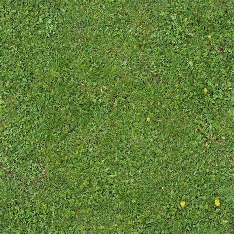 Seamless Green Grass Texture 01 By ~goodtextures On Deviantart Grass
