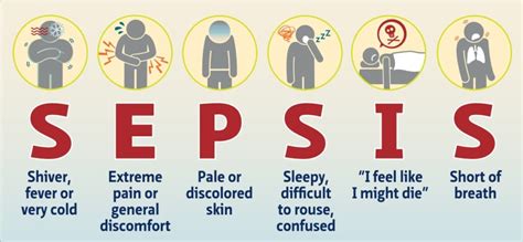 Sepsis Symptoms Health Vision