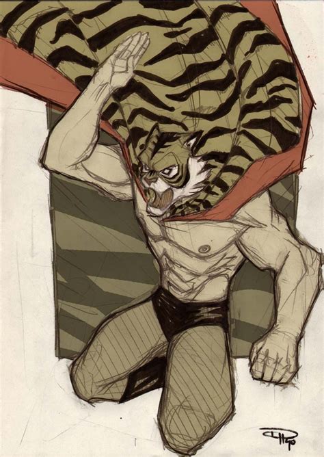 Tiger Mask Anime Uomo Tigre Cartoni Animati Personaggi Illustrazioni