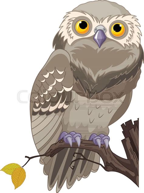 Illustration Of An Owl Sits On A Stock Vector Colourbox