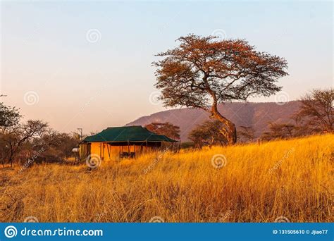 Serengeti National Park In Northwest Tanzania Stock Photo Image Of