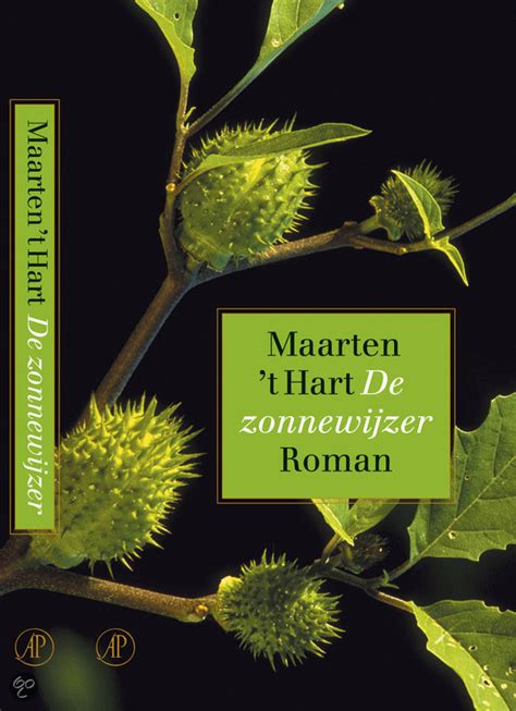 De Zonnewijzer Maarten T Hart 9789029522694 Boeken