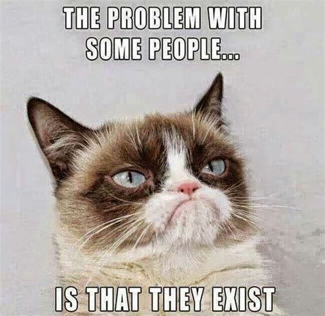 20 Best Grumpy Cat Memes To Convert A Face To A Smiley Face