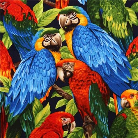 Colourful Tropical Bird Fabric Parrot Robert Kaufman Fabric