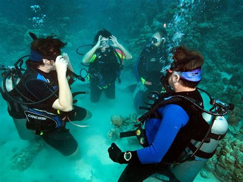 Desert Sea Divers Jeddah All You Need To Know Before You Go