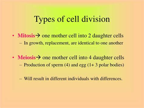 Ppt Cell Division Powerpoint Presentation Free Download Id773724