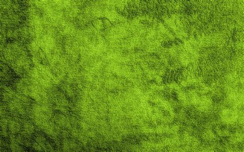 Green Grass Lawn Grass Texture Grass Lawn Hd Wallpaper Peakpx
