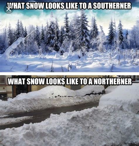 Pin By Amanda Stratton On Winter Funny Pictures Winter Humor Picture
