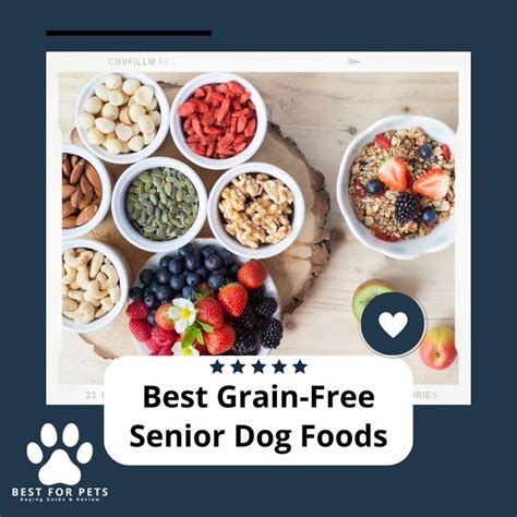 The 10 Best Grain Free Senior Dog Foods In 2023