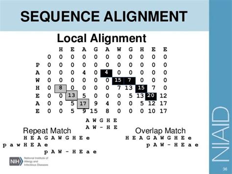Blast And Sequence Alignment