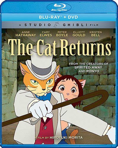 Top 10 Cat Anime Best Recommendations
