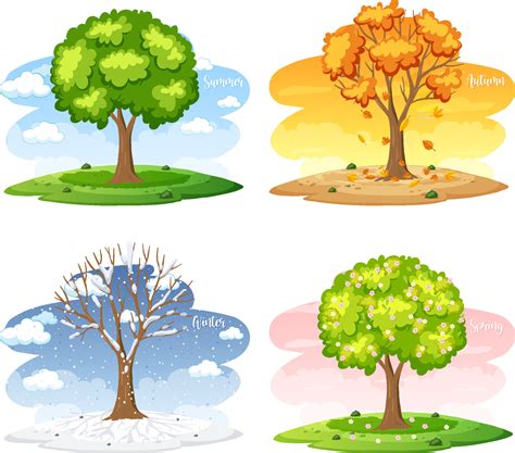 Verschillende Bomen In Vier Seizoenen 4870693 Vectorkunst Bij Vecteezy