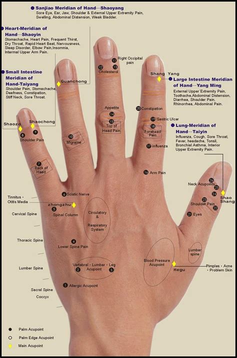 Hand Reflexology Chart 2 Free Download Brett S Natural Health
