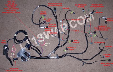 Ls Standalone Wiring Harness Diagram For Your Needs