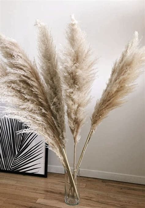 15pcs Tall Pampas Grass 3 4ft Grand Sale Dry Florals For Etsy