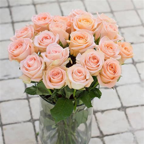 Tiffany Rose Greenchoice Flowers