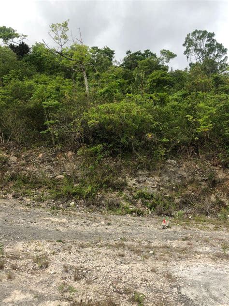 land s for sale in mile gully manchester jamaica
