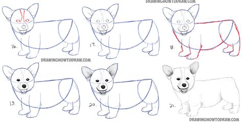 Dog Pencil Drawing Easy At Explore Collection Of