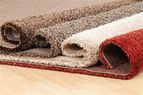 Which Type Of Carpet Should You Choose Carpet Selection Guide