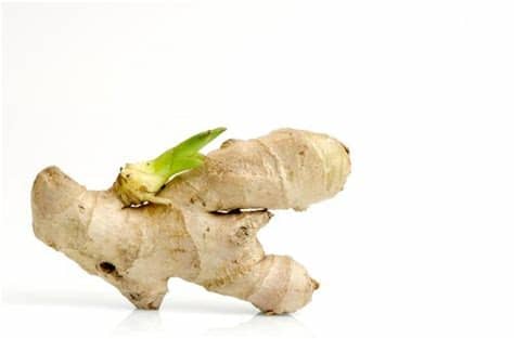 El próximo paso es usar caramelos para decorar la casa y haver que se vea. Cómo cultivar una planta de jengibre en el interior de tu ...