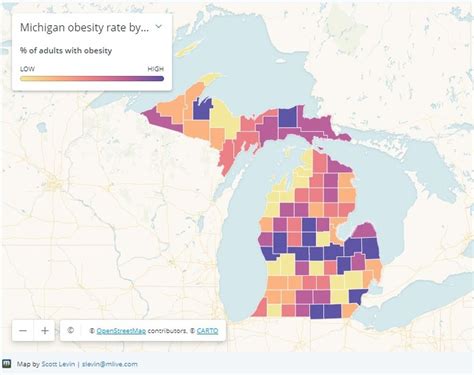 Michigan Ranks 35th In Adult Obesity With 4 Counties Below The Us