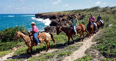 Ncl Excursion In Nawiliwili Kauai Horseback Riding Rccl Cruise
