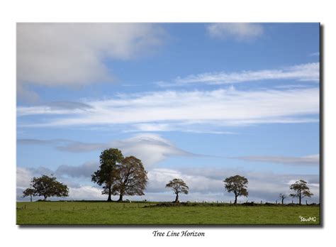 Tree Line Horizon Best Viewed Large A Simple Scene Seen Flickr