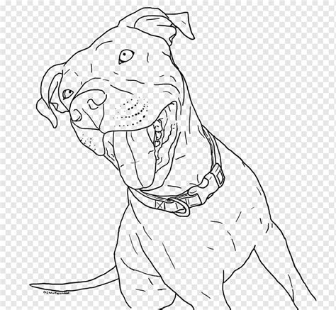 Top Imagenes Para Dibujar De Pitbull Ginformate Mx