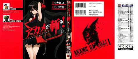 Akame Akame Ga Kill Image By Tashiro Tetsuya 1100813 Zerochan