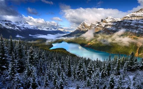 Lake Forest Mountain Nature Snow Clouds Landscape Turquoise Water Canada Trees