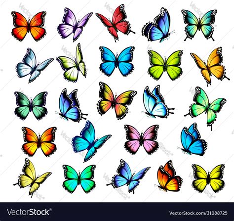 Big Group Colorful Butterflies Flying In Vector Image